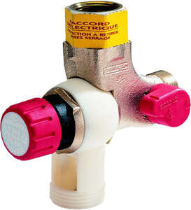 Image produit Reverso Groupe de s&eacute;curit&eacute; REVERSO NF 3/4"